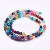 Natural Agate Beads Strands G-P365-03-4mm-3