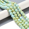 Baking Paint Glass Bead Strands GLAA-H031-01C-08-2