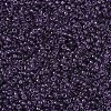 MIYUKI Round Rocailles Beads SEED-JP0008-RR0157-3