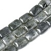 Natural Labradorite Beads Strands X-G-T121-13-1