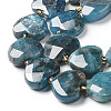 Natural Apatite Beads Strands G-B044-B06-01-3