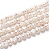 Natural Cultured Freshwater Pearl Beads Strands PEAR-L033-50-01-1