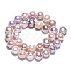 Natural Cultured Freshwater Pearl Beads Strands PEAR-N013-10B-4