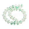 Glass with Enamel Beads Strands GLAA-M047-01H-2