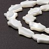 Natural Trochid Shell/Trochus Shell Beads SSHEL-O001-23B-3