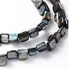 Erose Natural Shell Beads Strands X-PBB070Y-3