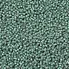 MIYUKI Delica Beads X-SEED-J020-DB1171-3