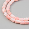 Natural Freshwater Shell Beads Strand X-SHEL-T017-39B-3