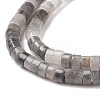 Natural Eagle Eye Stone Beads Strands X-G-H230-46-3
