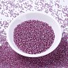 MIYUKI Delica Beads X-SEED-J020-DB2156-2