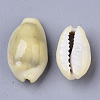 Natural Cowrie Shell Beads SSHEL-N034-C-26-3
