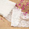 Stretch Elastic Lace Trim OCOR-TAC0006-02L-4