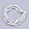 Natural Howlite Stone Bead Strands G-R192-15-2