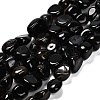 Natural Black Agate(Dyed & Heated) Beads Strands G-P568-C16-01-2