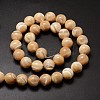 Natural Sea Shell Beads Strands SSHEL-K013-12mm-B-2