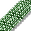 Eco-Friendly  Dyed Glass Pearl Round Bead Strands HY-A002-8mm-RB008-1