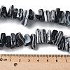 Dyed Natural Trochus Shell Beads Strands SSHEL-C013-09A-4