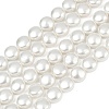 Electroplated Shell Pearl Beads Strands BSHE-G027-13A-2