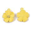 Spray Painted Alloy Pendants LS-PALLOY-N0147-03D-2