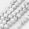 Natural Howlite Beads Strands G-D809-16-10mm-1