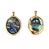 Synthetic Abalone Shell/Paua Shell Pendants KK-N233-254-1