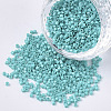 FGB 11/0 Grade A Glass Seed Beads X-SEED-S030-0729-1