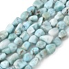 Natural Larimar Beads Strands G-K203-48-1