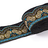 Ethnic Style Embroidery Polyester Ribbons SK-TAC0001-02-2