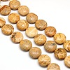 Natural Flat Round Picture Jasper Beads Strands G-L246-17-1