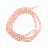Glass Beads Strands EGLA-A034-T6mm-D21-1