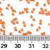 FGB 11/0 Grade A Glass Seed Beads SEED-S030-1019-4