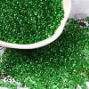 Transparent Colours Glass Seed Beads SEED-P006-02A-07-1