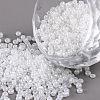 Glass Seed Beads SEED-A011-2mm-141-1
