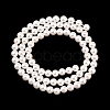 Electroplated Shell Pearl Beads Strands BSHE-C011-02-2