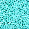 Opaque Baking Paint Glass Seed Beads SEED-T008-02O-3