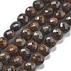 Natural Bronzite Beads Strands G-C179-A07-02-2