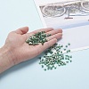 6/0 Glass Seed Beads SEED-YW0001-25F-7
