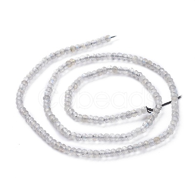 Natural Labradorite Beads Strands G-A026-C03-1