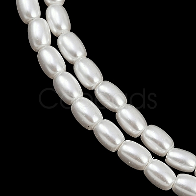 Electroplated Shell Pearl Beads Strands BSHE-H113-06B-06-1