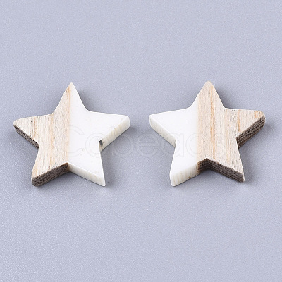 Resin & Wood Cabochons LS-RESI-R425-02I-1