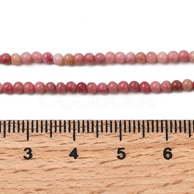 Natural Rhodonite Beads Strands G-G0005-B01-1
