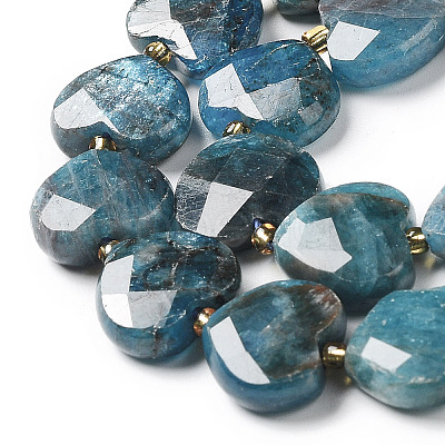 Natural Apatite Beads Strands G-B044-B06-01-1