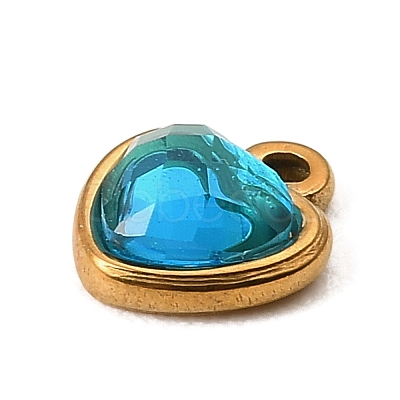 304 Stainless Steel Pendants STAS-Z199-02G-06-1