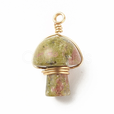 Natural Unakite Pendants PALLOY-JF01134-02-1