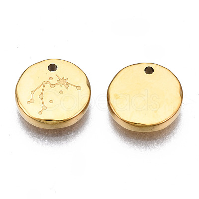 316 Surgical Stainless Steel Charms STAS-S116-418F-G-1