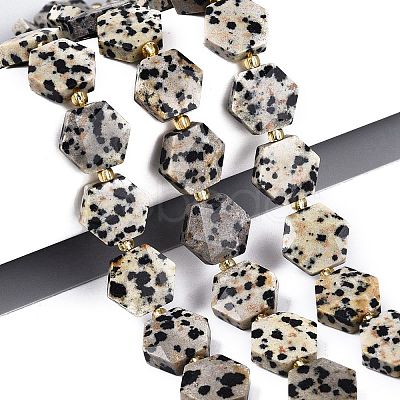Natural Dalmatian Jasper Beads Strands G-N368-01A-03-1