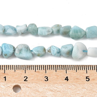 Natural Larimar Beads Strands G-K203-48-1