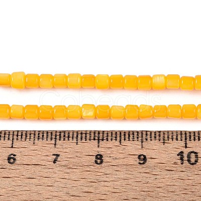 Dyed Natural Freshwater Shell Beads Strands SHEL-T020-56B-1