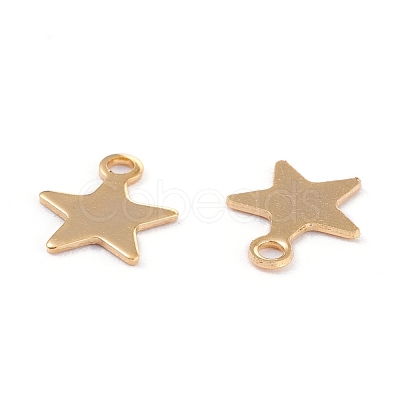 201 Stainless Steel Charms STAS-B001-14A-G-1