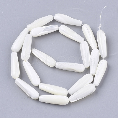 Natural Trochid Shell/Trochus Shell Beads Strands SSHEL-N032-03-1